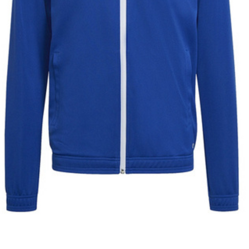 Adidas Entrada 22 Training Men's Jacket Blue - HG6287