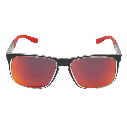 Pit Bull Sunglasses