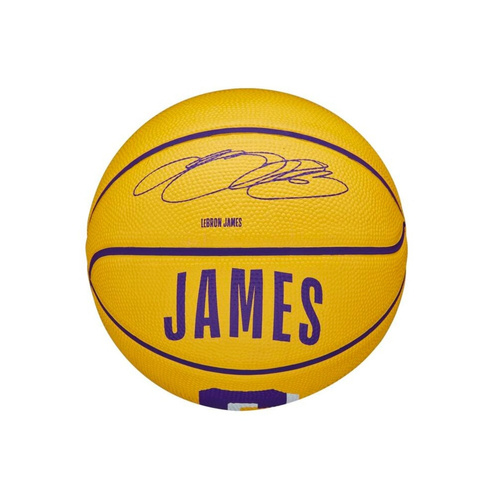 Wilson NBA LeBron James Los Angeles Lakers Mini Basketball Ball - WZ4007201XB