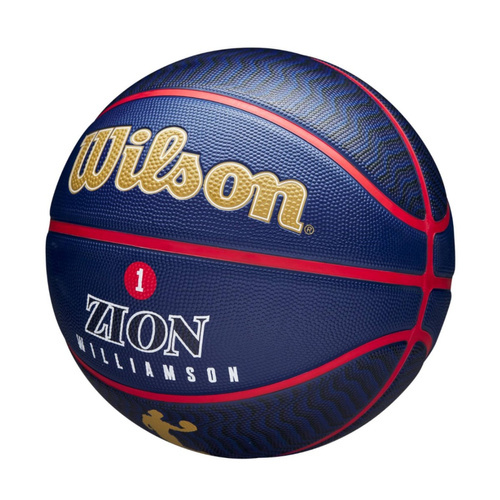 Wilson NBA Team Boston Celtics Basketball outdoor + Wilson ball pump