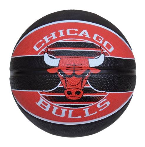 Portable Basketball stand MASTER Street 305 + Spalding Chicago Bulls	