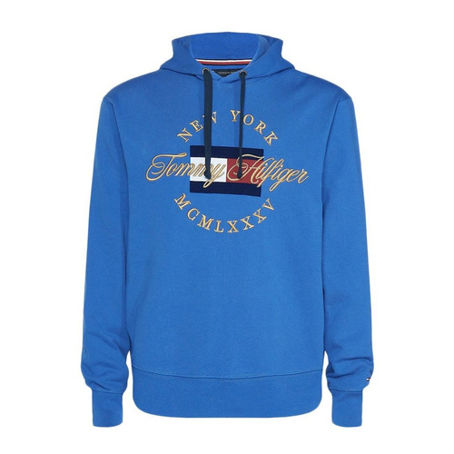 Tommy Hilfiger Icon Artwork Hoody -  MW0MW10064-448