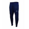 Air Jordan Dri-FIT Training Fleece - DQ7890-419