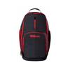 WILSON Evolution Training Backpack to Basketball - WTB18419RD