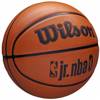 Wilson NBA Jr DRV Fam Logo Basketball - WZ3013001XB