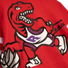 Mitchell & Ness NBA Toronto Raptors Hoodie  -FPHDBW19165-TRARED1