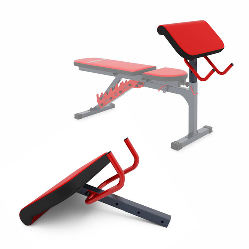 Biceps bench K-SPORT with protection - KSSL013/2