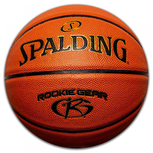 Basketball Backboard MASTER 90 x 60 cm