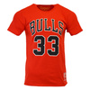Koszulka męska Mitchell & Ness Last Dance NBA Chicago Bulls Number 33 