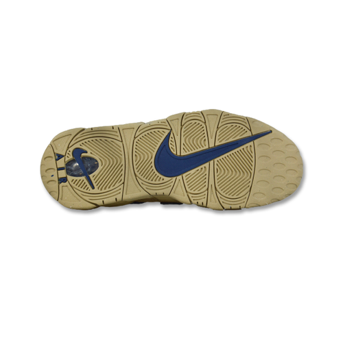 Nike Air Uptempo - DV6993-200