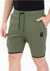 Spodenki męskie Pit Bull West Coast Alcorn Shorts - 310203360
