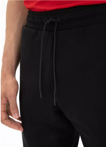 Spodenki męskie Pit Bull West Coast Alcorn Shorts - 310203900