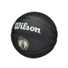 Wilson NBA Team Tribute Boston Miniball - WZ4017605XB