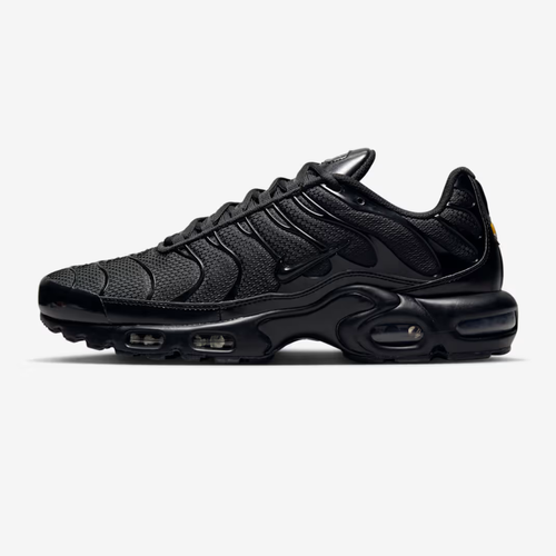 Men's shoes Nike Air Max Plus Black - 604133-050