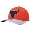 Mitchell & Ness NBA Chicago Bulls Cup Snapback - S21HW010