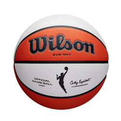 Wilson WNBA Evo NXT Authentic Series Official Game Ball Basketball - WTB5000XB