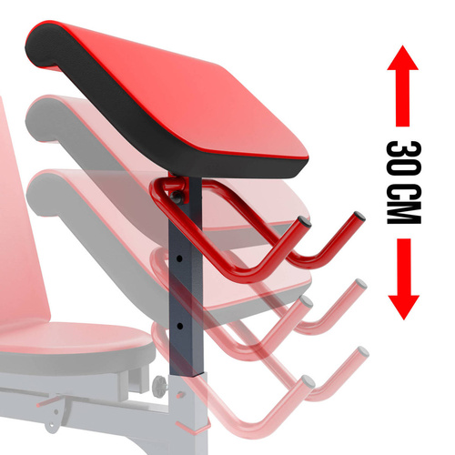 Biceps bench K-SPORT with protection - KSSL013/2