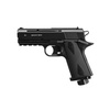 Full Set to Air Gun Borner - WC 401